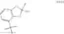 Fig. 14 - Substituted cyclic amides as herbicides