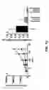 Fig. 13 - Functionalised benzopyran compounds and use thereof