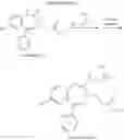 Fig. 50 - Process for preparing 3-[(S)-7-bromo-2-((2-oxopropyl)amino)-5-pyridin-2-yl-3H-1,4-benzodiazepin-3-yl]propionic acid methyl ester