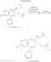 Fig. 58 - Process for preparing 3-[(S)-7-bromo-2-((2-oxopropyl)amino)-5-pyridin-2-yl-3H-1,4-benzodiazepin-3-yl]propionic acid methyl ester