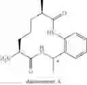 Fig. 111 - Diamide macrocycles as factor XIa inhibitors
