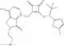 Fig. 150 - Modulators of chemokine receptors