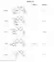 Fig. 24 - Modulators of chemokine receptors
