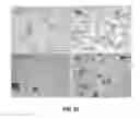 Fig. 83 - SOLID FORMS OF A BET INHIBITOR