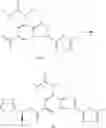 Fig. 71 - P2Xand/or P2Xcompounds and methods