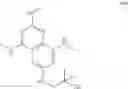 Fig. 113 - Breathing control modulating compounds, and methods of making and using same