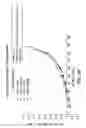 Fig. 27 - Processes for the preparation of (3S,4R)-3-ethyl-4-(3H-imidazo[1,2-alpla]pyrrolo[2,3-e]-pyrazin-8-YL)-N-(2,2,2-Trifluoroethyl)pyrrol and solid state forms thereof