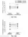 Fig. 63 - Processes for the preparation of (3S,4R)-3-ethyl-4-(3H-imidazo[1,2-alpla]pyrrolo[2,3-e]-pyrazin-8-YL)-N-(2,2,2-Trifluoroethyl)pyrrol and solid state forms thereof