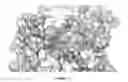 Fig. 22 - Complement C3d-binding compounds