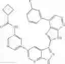 Fig. 33 - 3-(3H-imidazo[4,5-B]pyridin-2-yl)-1H-pyrazolo[3,4-B]pyridine and therapeutic uses thereof