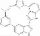 Fig. 334 - 3-(3H-imidazo[4,5-B]pyridin-2-yl)-1H-pyrazolo[3,4-B]pyridine and therapeutic uses thereof