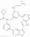 Fig. 451 - 3-(3H-imidazo[4,5-B]pyridin-2-yl)-1H-pyrazolo[3,4-B]pyridine and therapeutic uses thereof