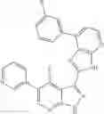 Fig. 461 - 3-(3H-imidazo[4,5-B]pyridin-2-yl)-1H-pyrazolo[3,4-B]pyridine and therapeutic uses thereof