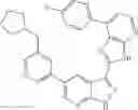 Fig. 50 - 3-(3H-imidazo[4,5-B]pyridin-2-yl)-1H-pyrazolo[3,4-B]pyridine and therapeutic uses thereof