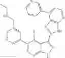 Fig. 541 - 3-(3H-imidazo[4,5-B]pyridin-2-yl)-1H-pyrazolo[3,4-B]pyridine and therapeutic uses thereof