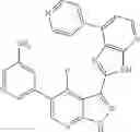 Fig. 564 - 3-(3H-imidazo[4,5-B]pyridin-2-yl)-1H-pyrazolo[3,4-B]pyridine and therapeutic uses thereof