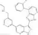 Fig. 65 - 3-(3H-imidazo[4,5-B]pyridin-2-yl)-1H-pyrazolo[3,4-B]pyridine and therapeutic uses thereof