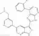 Fig. 71 - 3-(3H-imidazo[4,5-B]pyridin-2-yl)-1H-pyrazolo[3,4-B]pyridine and therapeutic uses thereof