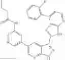 Fig. 75 - 3-(3H-imidazo[4,5-B]pyridin-2-yl)-1H-pyrazolo[3,4-B]pyridine and therapeutic uses thereof