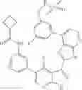 Fig. 893 - 3-(3H-imidazo[4,5-B]pyridin-2-yl)-1H-pyrazolo[3,4-B]pyridine and therapeutic uses thereof