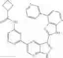 Fig. 99 - 3-(3H-imidazo[4,5-B]pyridin-2-yl)-1H-pyrazolo[3,4-B]pyridine and therapeutic uses thereof