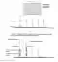 Fig. 06 - Process using dual specificity oligonucleotide and dual specificity oligonucleotide