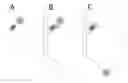 Fig. 01 - NATIVE PROTEIN PURIFICATION TECHNOLOGY