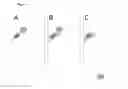 Fig. 03 - NATIVE PROTEIN PURIFICATION TECHNOLOGY