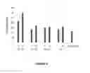 Fig. 07 - Compositions and methods for inhibiting CD279 interactions