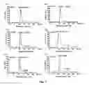 Fig. 05 - Truncated rotavirus VP4 protein and application thereof