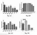 Fig. 08 - Truncated rotavirus VP4 protein and application thereof