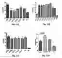Fig. 09 - Truncated rotavirus VP4 protein and application thereof