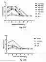 Fig. 11 - Truncated rotavirus VP4 protein and application thereof