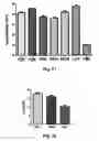 Fig. 14 - Truncated rotavirus VP4 protein and application thereof