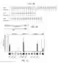 Fig. 03 - Modular DNA-binding domains and methods of use