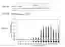 Fig. 06 - Modular DNA-binding domains and methods of use