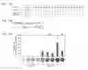 Fig. 17 - Modular DNA-binding domains and methods of use
