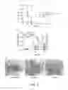 Fig. 07 - IMMUNOGENIC COMPOSITION COMPRISING ENGINEERED ALPHA-HEMOLYSIN OLIGOPEPTIDES
