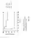 Fig. 11 - IMMUNOGENIC COMPOSITION COMPRISING ENGINEERED ALPHA-HEMOLYSIN OLIGOPEPTIDES