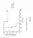 Fig. 12 - IMMUNOGENIC COMPOSITION COMPRISING ENGINEERED ALPHA-HEMOLYSIN OLIGOPEPTIDES