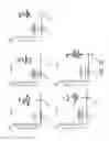 Fig. 13 - IMMUNOGENIC COMPOSITION COMPRISING ENGINEERED ALPHA-HEMOLYSIN OLIGOPEPTIDES