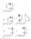 Fig. 14 - IMMUNOGENIC COMPOSITION COMPRISING ENGINEERED ALPHA-HEMOLYSIN OLIGOPEPTIDES