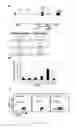 Fig. 52 - Cells lacking B2M surface expression and methods for allogeneic administration of such cells