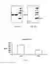 Fig. 05 - Compositions and Methods for the Intracellular Disruption of VEGF and VEGFR-2 by Intraceptors