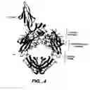 Fig. 05 - OPTIMIZED FC VARIANTS AND METHODS FOR THEIR GENERATION
