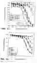 Fig. 10 - OPTIMIZED FC VARIANTS AND METHODS FOR THEIR GENERATION