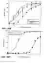 Fig. 24 - OPTIMIZED FC VARIANTS AND METHODS FOR THEIR GENERATION