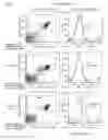Fig. 72 - Antibody producing non-human animals