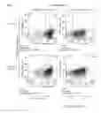 Fig. 80 - Antibody producing non-human animals
