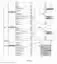 Fig. 83 - Antibody producing non-human animals